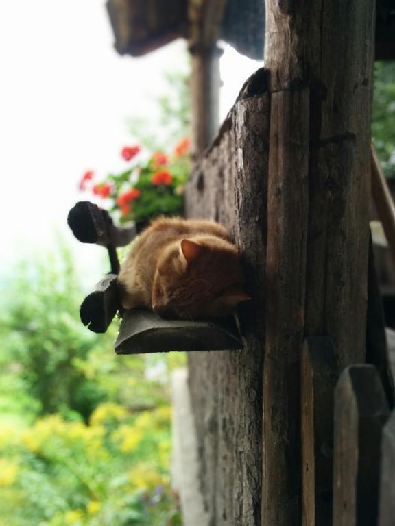 Unterbrunnerhof Apartman Lana Szoba fotó